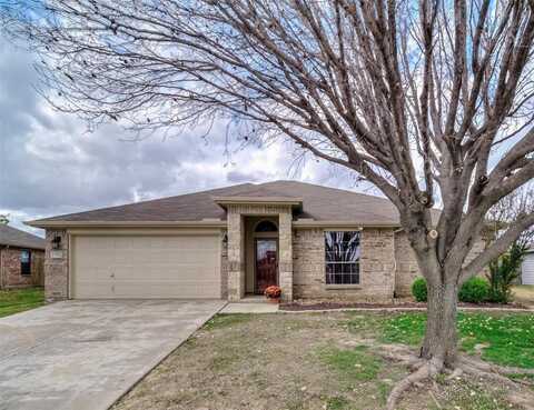 11916 Forest Lawn Road, Rhome, TX 76078