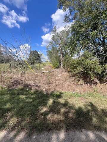 Lot 1 Rs County Road 4500, Point, TX 75472