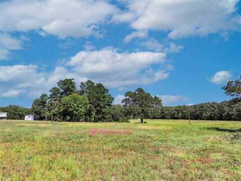 Tbd 6.5 Acres County Road 1160, Brashear, TX 75420