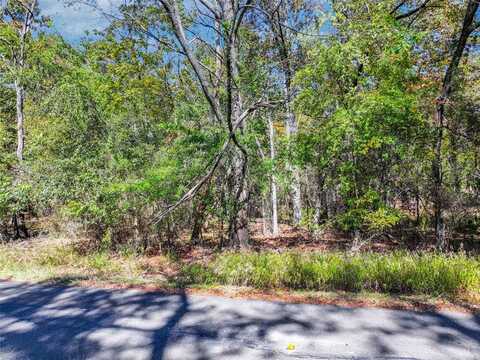 Lot 7 King Sebastion Road, Scroggins, TX 75480