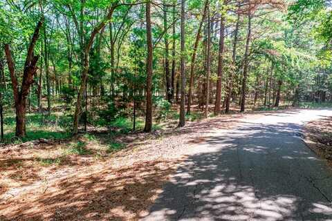 Lot 27 Wildwood Trail, Mount Vernon, TX 75457