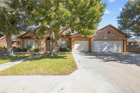 1204 NW 16th St, Andrews, TX 79714