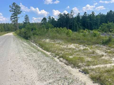 TBD Shaffer Corner Road, Varnville, SC 29944