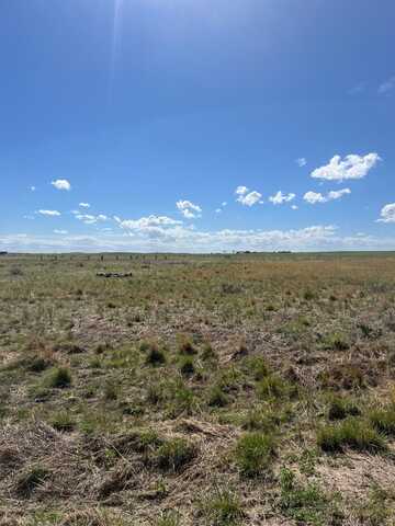 TBD D Street, #WIP Block 1, Lot 16, Wray, CO 80758