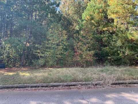 4125 Alayna Lee Circle, Mcdonough, GA 30252