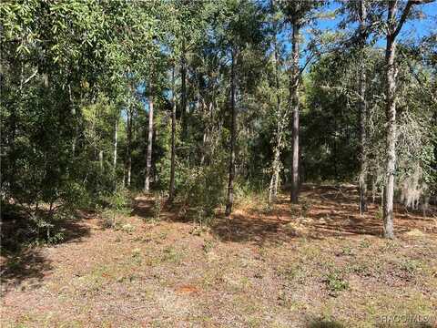 803 E Panama Drive, Dunnellon, FL 34434