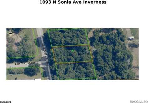 1093 N Sonia Avenue, Inverness, FL 34453