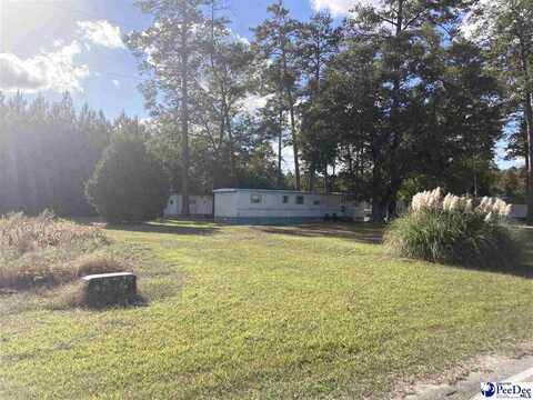 Old Hamer Road, Hamer, SC 29547