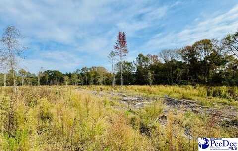 Woodbine Ln (3.72 of 51.53 acres), cheraw, SC 29520