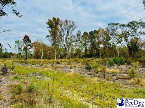 Santa Anita Rd (8.03 acres of 51.53), cheraw, SC 29520