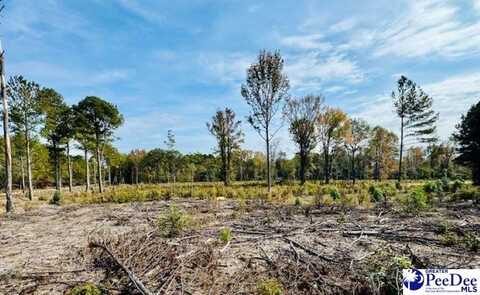 0000 Bridlewood Rd (Lot 1), cheraw, SC 29520
