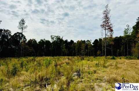 Santa Anita Rd (4.31 acres of 51.53), Cheraw, SC 29520