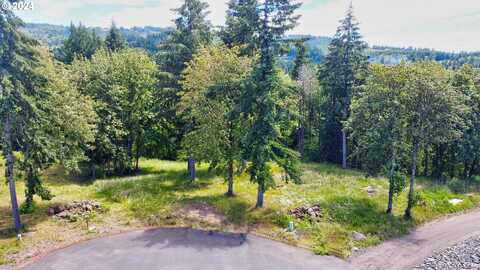 0 Olivia LN, Kalama, WA 98625