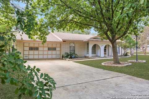 17215 HAPPY HOLLOW DR, San Antonio, TX 78232