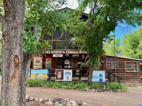 869 Highway 35, Lake Roberts, NM 88049