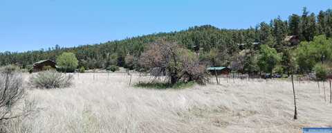 1 Gladys Place, Lake Roberts, NM 88049