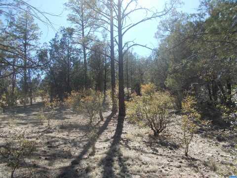 Lot 2a Hwy 15 Hills, Lake Roberts, NM 88049