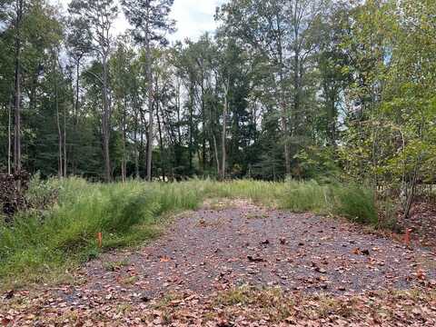 Lot 1955 MAYFLOWER DR, GREENBACKVILLE, VA 23356