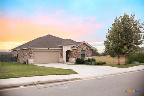 1193 Havens Cross, New Braunfels, TX 78132