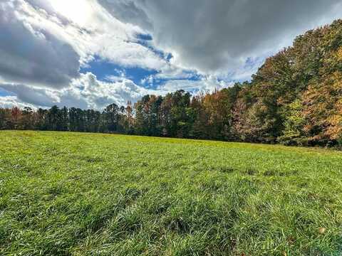 691 Strawberry Lane, Buffalo Junction, VA 24529