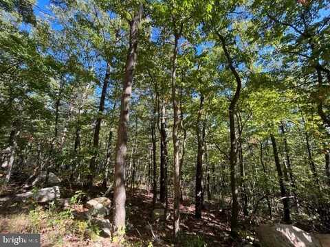 0 STAGG TRAIL, WINCHESTER, VA 22602