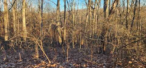 Lot 39 Charles Dr, HOLLADAY, TN 38341