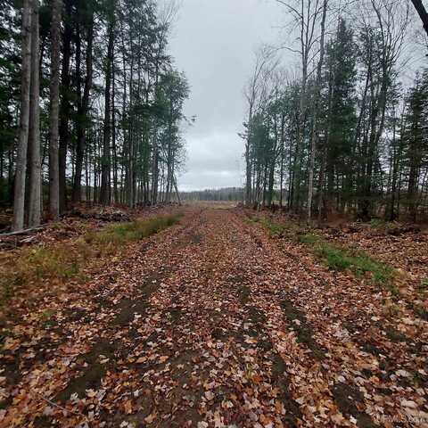 40 +/- Acres off Mangum, Marquette, MI 49855