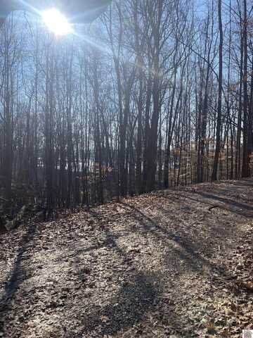 Lot 193 Woodland Hills, Cadiz, KY 42211