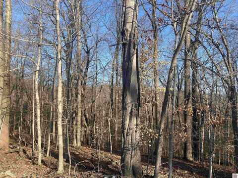 Lot 7 Woodland Hills, Cadiz, KY 42211