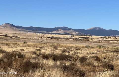 Tbd Becker Lake Road, Springerville, AZ 85938