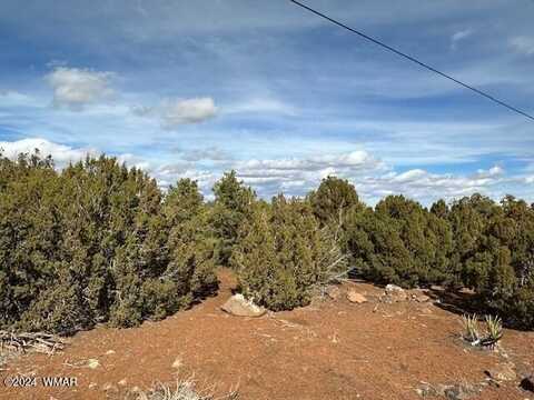 233 CR 8088 Hohokam Road, Concho, AZ 85924