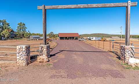 1023 Casper Lane, Show Low, AZ 85901