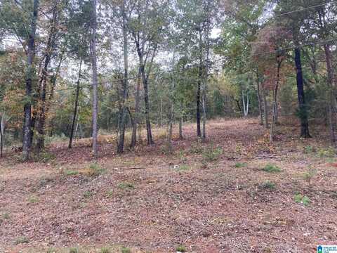 495 ANDERSON MTN DRIVE, ODENVILLE, AL 35120