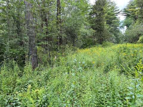 0 TBD All Peats Beds Rd, Earlton, NY 12058