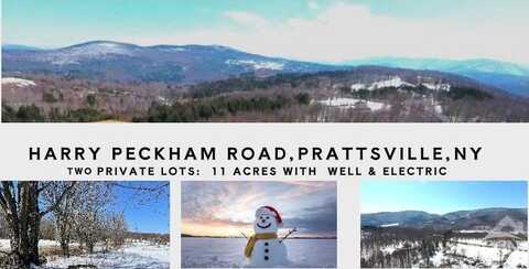 167 Harry Peckham, Prattsville, NY 12496