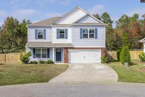 270 Elsoma Drive, Chapin, SC 29036