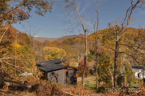 13 Bassett Road, Asheville, NC 28804
