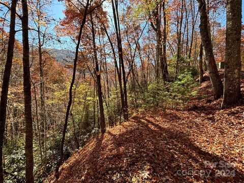 Coppermine Ridge lot: 33, Whittier, NC 28789