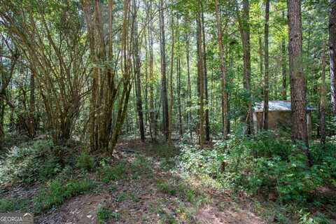 0 Beaver Run, Winterville, GA 30683