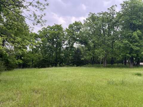 000 Fi Anna Lane, Ozark, MO 65721