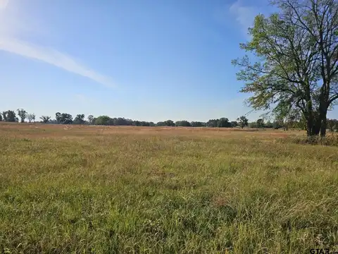 LOT 14 CR 3270, Mount Pleasant, TX 75455