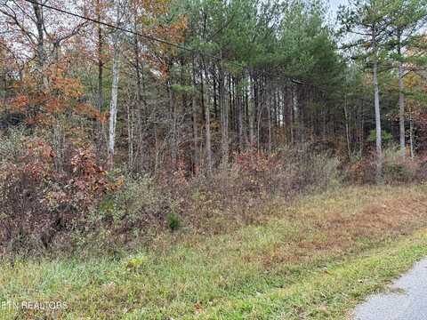 Airport Rd. Lot 6, Rockwood, TN 37854