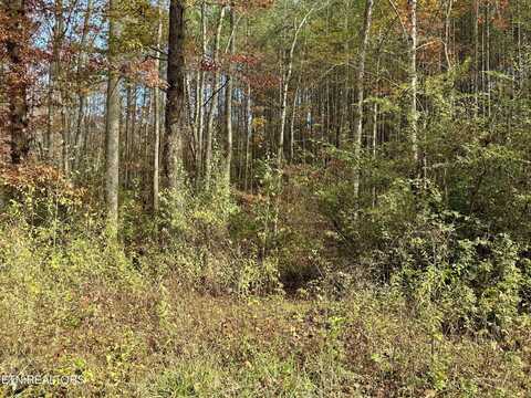 Lower Rockwood Rd Lot 14, Rockwood, TN 37854