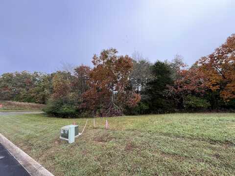 Lot 54 Deer Chase Trail, Dandridge, TN 37725