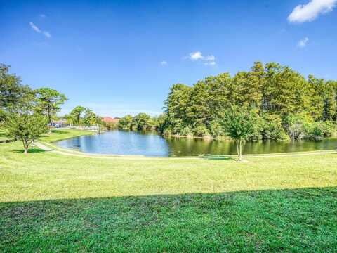 7719 COSME DRIVE, HUDSON, FL 34667