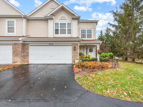 9558 Rainsford Drive, Huntley, IL 60142