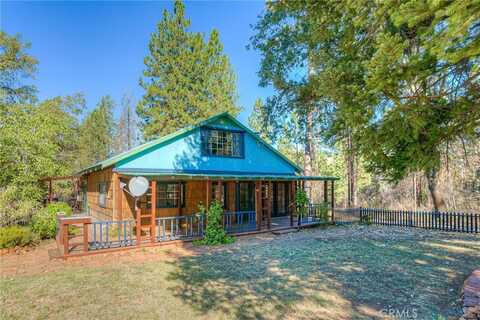 110 Black Bear Road, Berry Creek, CA 95916