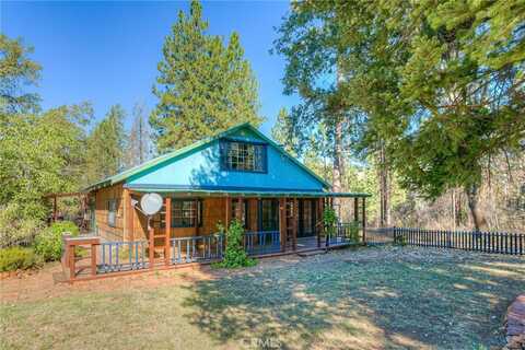 110 Black Bear Road, Berry Creek, CA 95916