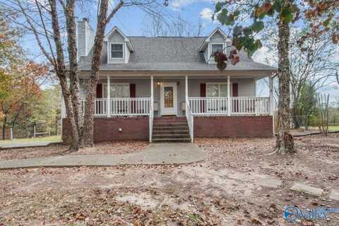 99 Mount Sinai Road, Horton, AL 35980