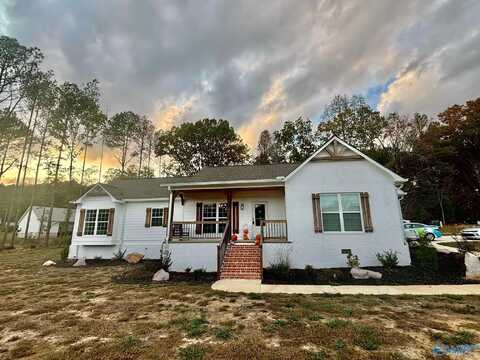 45 Ridge Road, Leesburg, AL 35983